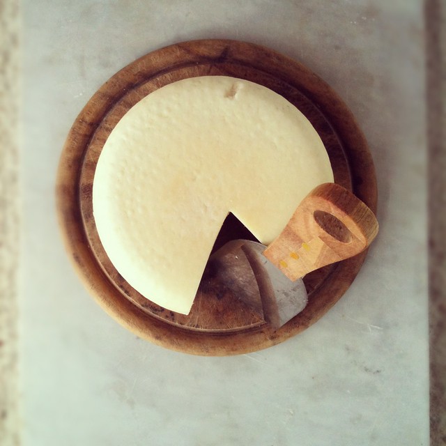 Young Pecorino cheese