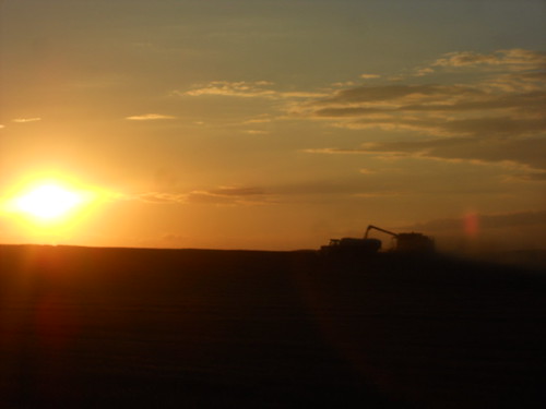 Combine and grain cart silhouette