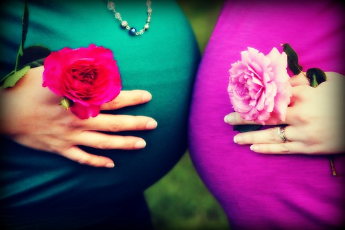 baby bellies and roses