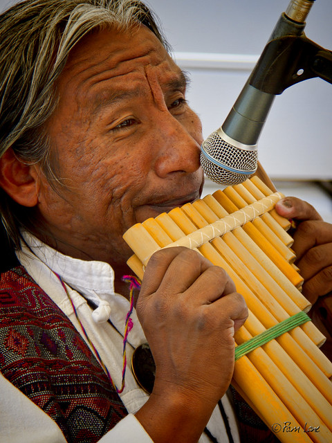 Farmer's market musician
