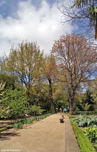 Madrid - Real Jardín Botánico