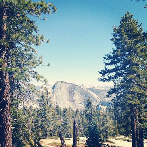Yosemite. Half Dome from Indian Rock.