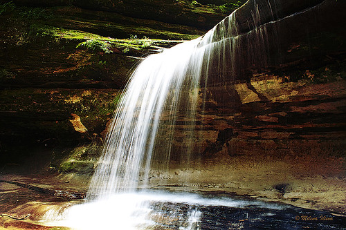 Nature in motion - LaSalle Canyon in Starved Rock state park, IL