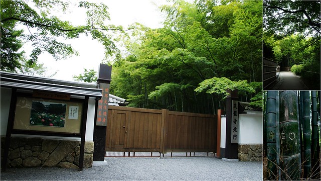 京都嵐山2