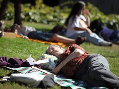 Adrienne Lauby participates in a “flash nap” on the lawn at Santa Rosa City Hall.