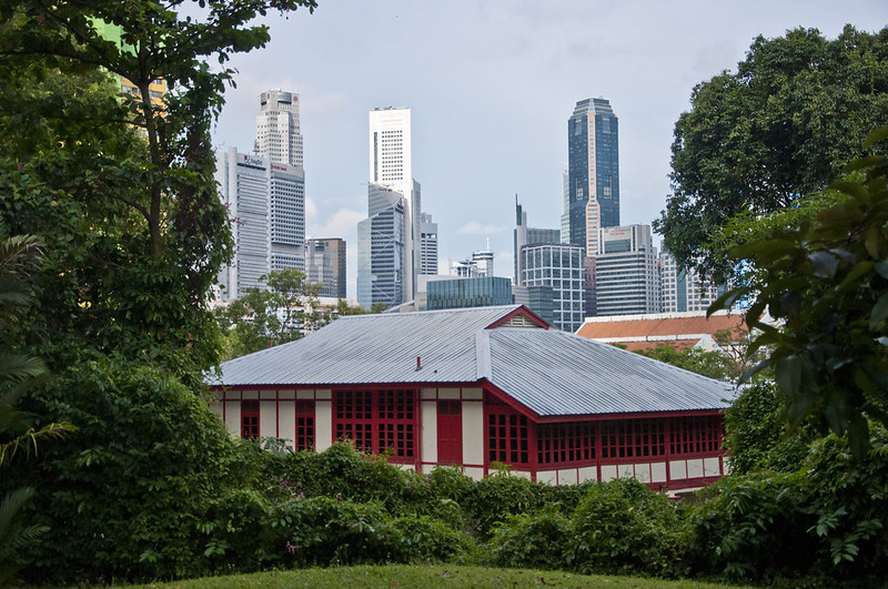 Небоскребы на фоне деревьев в Сингапуре