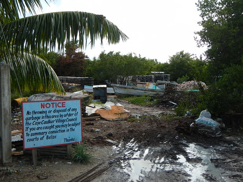 No dumping sign in mangrove swamp