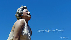 Forever Marilyn Monroe