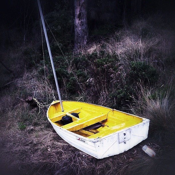Tinnie-turned-sailboat. #makeshift #yellow #boat