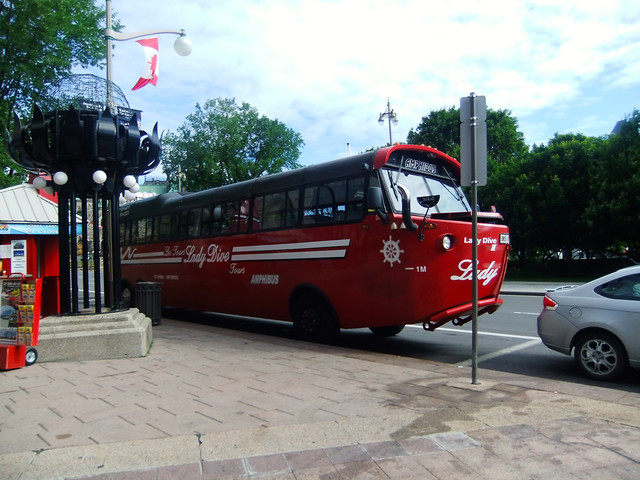 Amphi-Bus