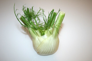 07 - Zutat Fenchel / Ingredient fennel