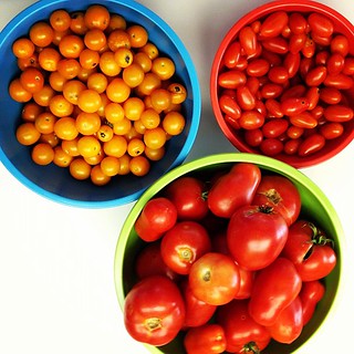 My little #garden is producing a TON of yummy #tomatoes.