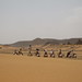 The camel men of Bagrawiya