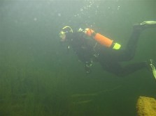 (潛水人員調查水中外來種，圖片來源：紐西蘭保育部)