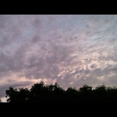 【写真】一昨日の夕方の空。淡いピンク色の雲。 Sky of the evening of the day before yesterday. The clouds of  light pink. #雲 #sky #空