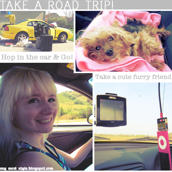 Road Trip Collage gry