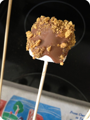 S'mores on a stick!