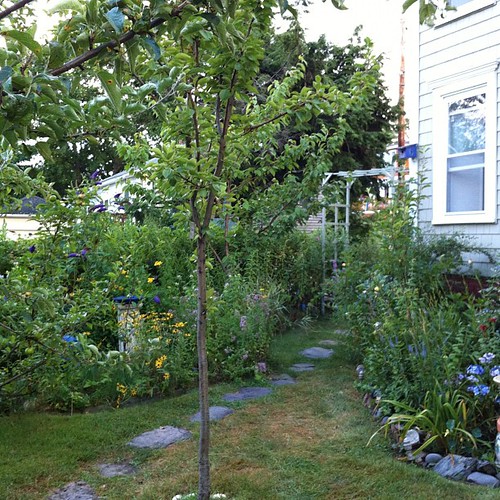 my centering place #organicgarden #urbangarden #garden #maine #meditation