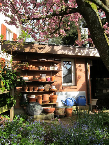 meticulous: a gardening shed