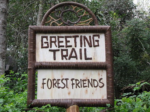 Greeting Trail - Forest Friends