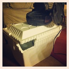 homemade ac courtesy of @codyneinast to keep a pregnant lady cool this summer!