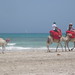 Tunísia - Ilha de Djerba 2012