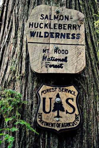 Salmon-Huckleberry Wilderness sign nailed to a Cedar in the Hunchback Mountain - Mt. Hood National Forest