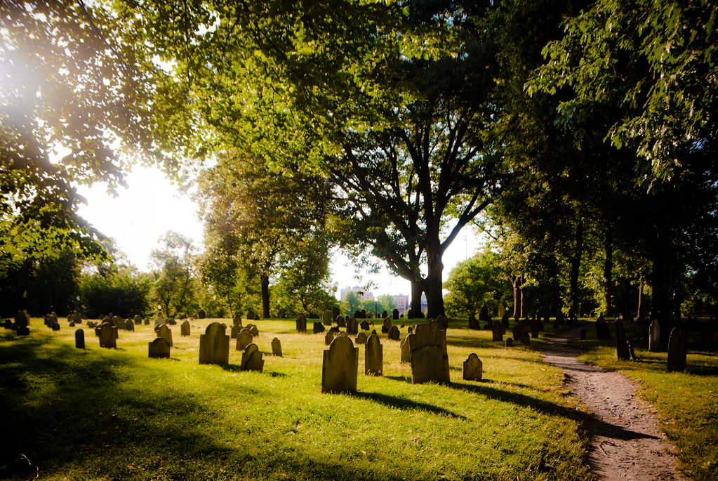graves and trees