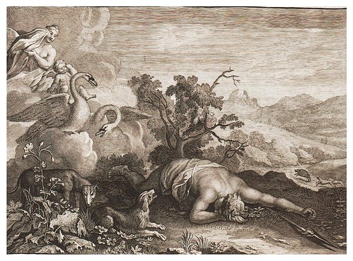 017-La muerte de Adonis-Ovid's Metamorphoses In Latin And English V.2- Bernard Picart-© UniversitättBibliotheK Heidelberg