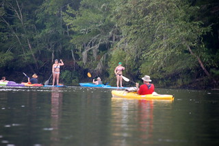 Paddle Boards on the River