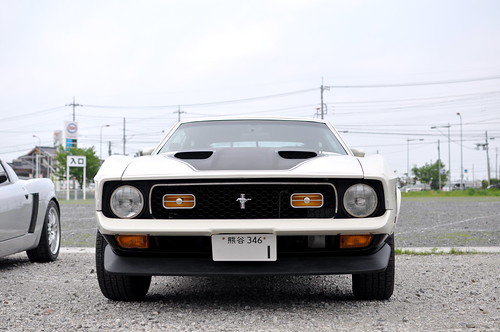 Mustang Mach1