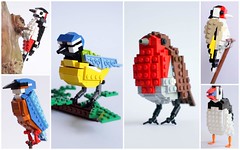 British Bird Series