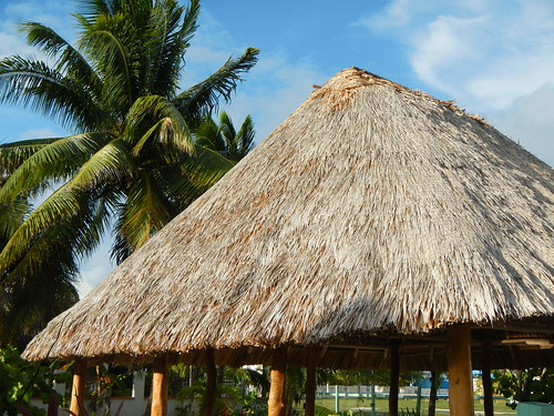 Bayleaf palm palapa for SCUBA divers