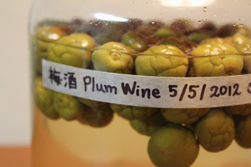 Plum wine - 1.5 month later