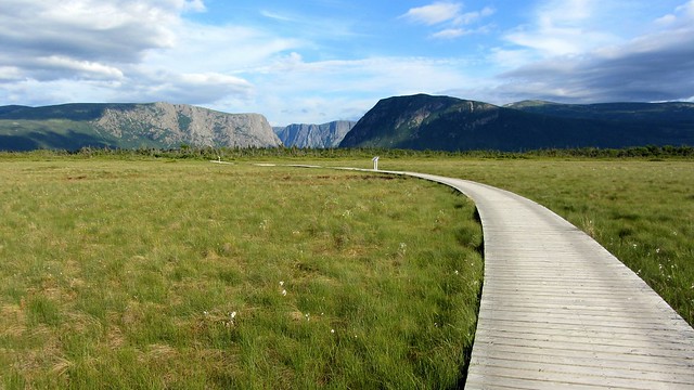 Pathway to Western Brook Pond