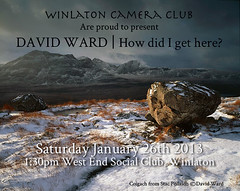 DAVID WARD | How did I get here?