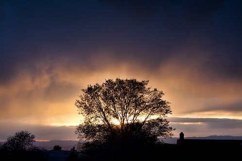 sunset with tree.