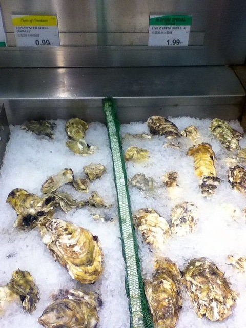 Live Oyster Shell $0.99 or $1.99