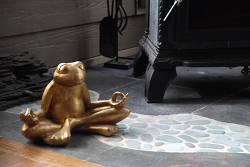 1582 meditation frog