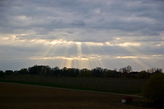 Rayons de soleil à travers les nuages dans la campagne belge