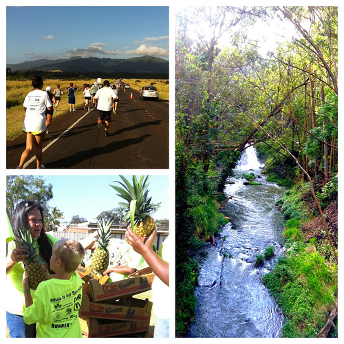 2012 Wahiawa Pineapple Run