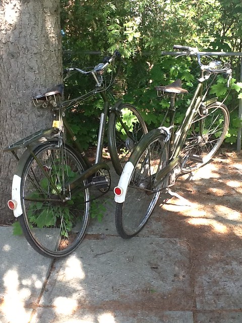 picture of two bronze-green Raleigh Superbe bikes