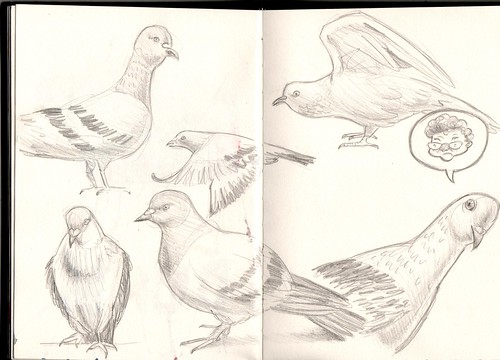 Pigeons by Luiz MEMO