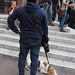 Dogs Of Bologna Italy 31