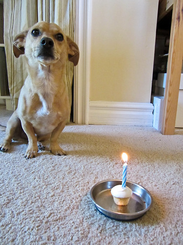 Can I blow out the candle now?