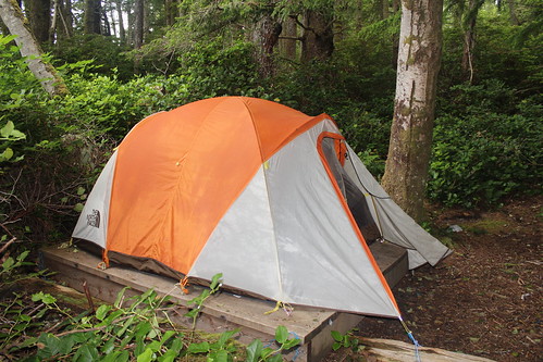 Camping In The Rainforest