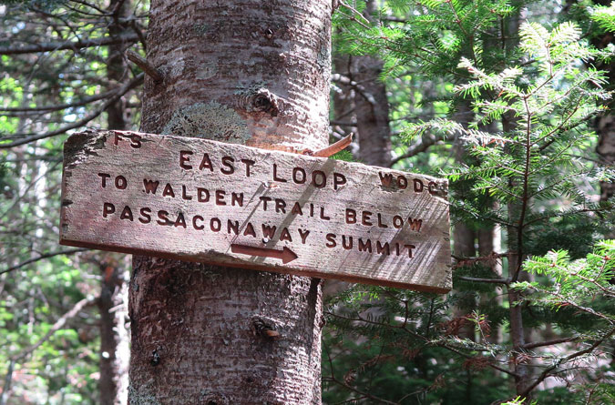 Passaconaway East Trail