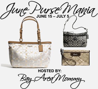 Bay Area Mommy's 16k Purse Mania Giveaway