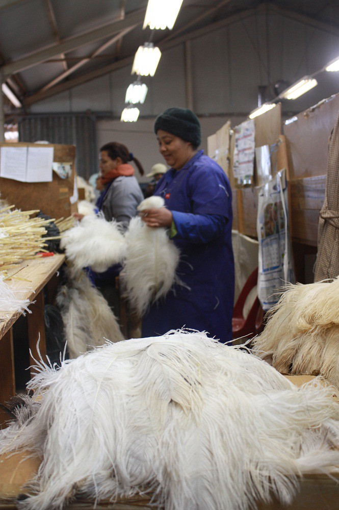 Workers at an ostrich feather factory in Oudtshoorn