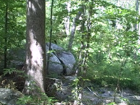 Visit the Split Rock found on Forest Exploration Trail